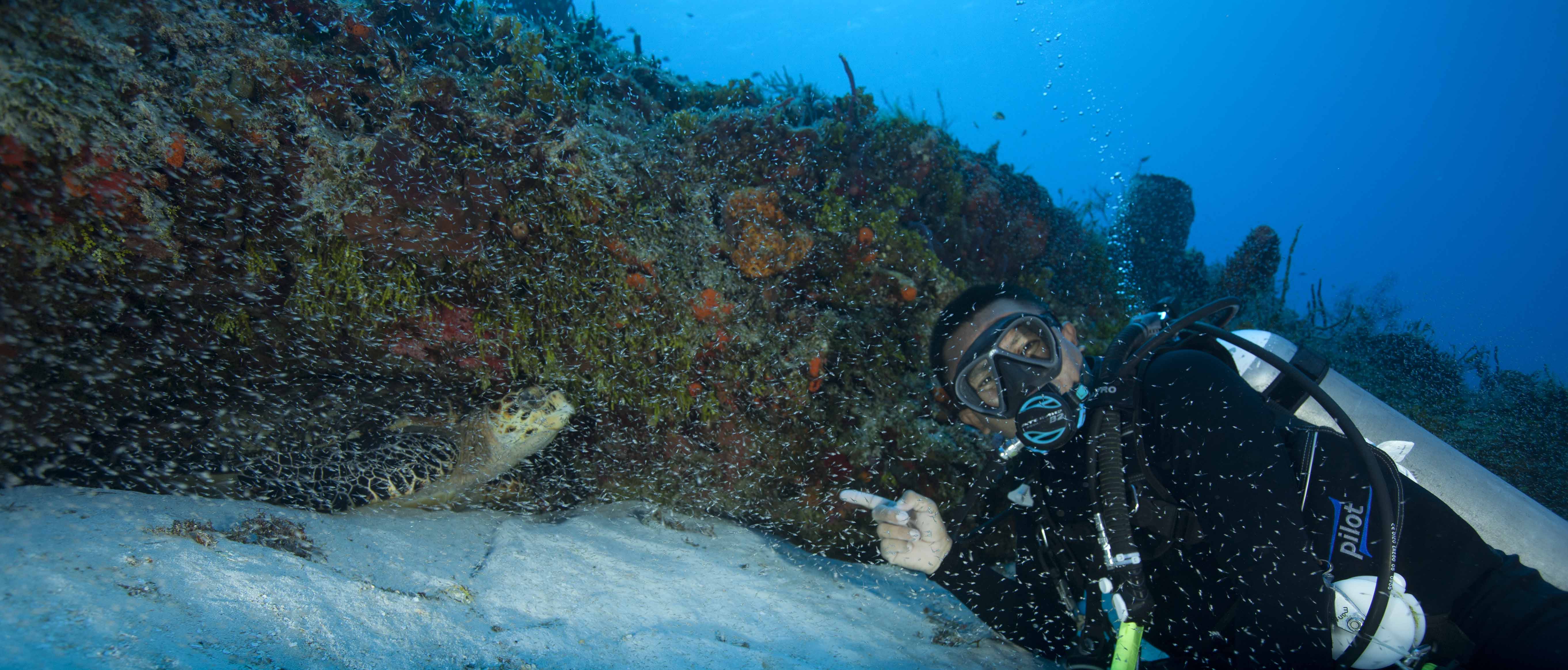 Alex Adventures Cozumel Alex Adventures Cozumel